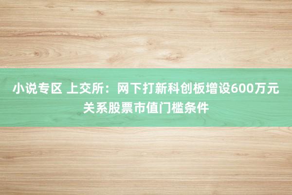 小说专区 上交所：网下打新科创板增设600万元关系股票市值门槛条件