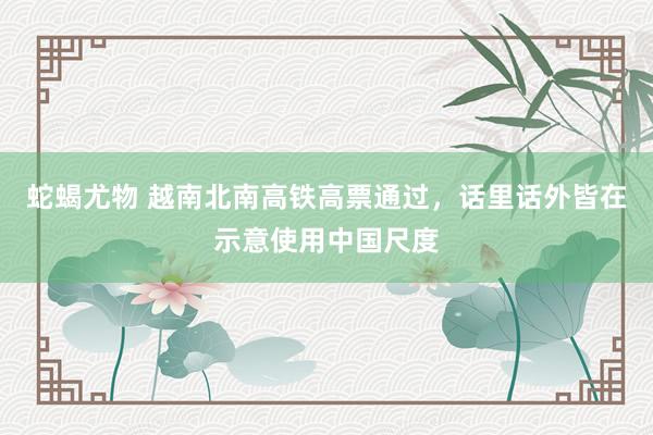蛇蝎尤物 越南北南高铁高票通过，话里话外皆在示意使用中国尺度