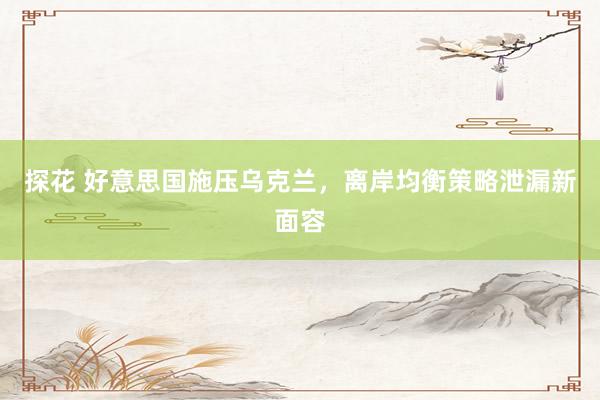探花 好意思国施压乌克兰，离岸均衡策略泄漏新面容
