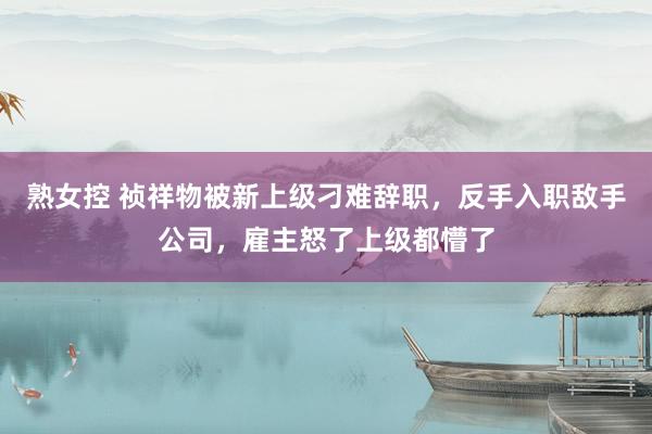 熟女控 祯祥物被新上级刁难辞职，反手入职敌手公司，雇主怒了上级都懵了