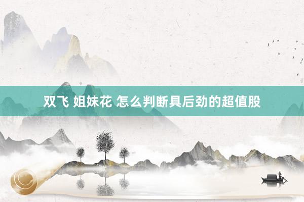 双飞 姐妹花 怎么判断具后劲的超值股