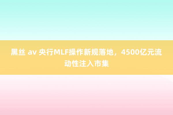 黑丝 av 央行MLF操作新规落地，4500亿元流动性注入市集