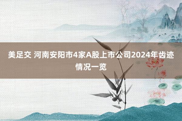 美足交 河南安阳市4家A股上市公司2024年齿迹情况一览