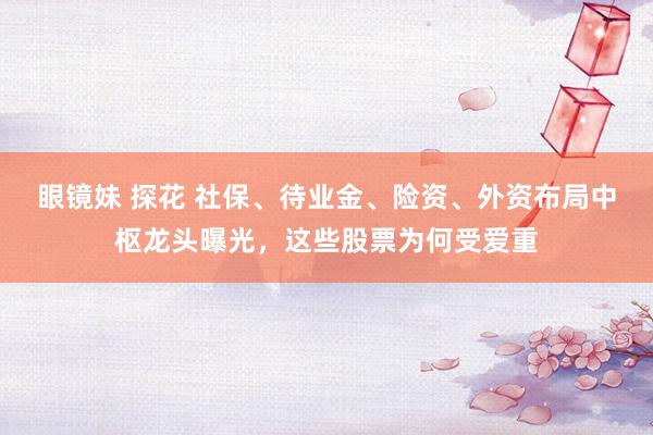 眼镜妹 探花 社保、待业金、险资、外资布局中枢龙头曝光，这些股票为何受爱重