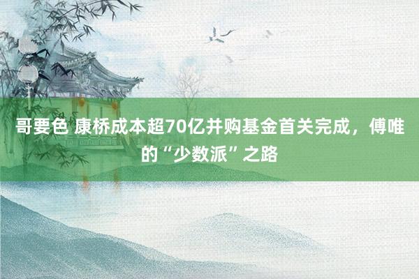 哥要色 康桥成本超70亿并购基金首关完成，傅唯的“少数派”之路