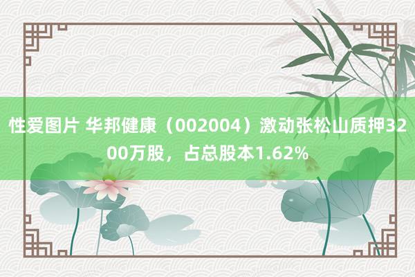 性爱图片 华邦健康（002004）激动张松山质押3200万股，占总股本1.62%
