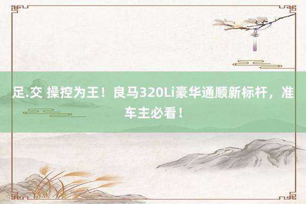 足.交 操控为王！良马320Li豪华通顺新标杆，准车主必看！