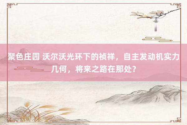 聚色庄园 沃尔沃光环下的祯祥，自主发动机实力几何，将来之路在那处？