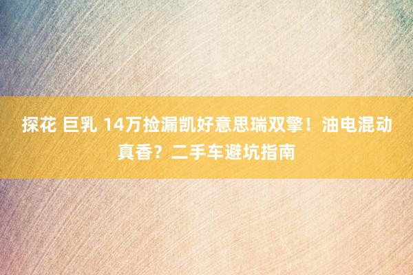 探花 巨乳 14万捡漏凯好意思瑞双擎！油电混动真香？二手车避坑指南