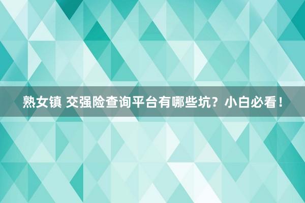 熟女镇 交强险查询平台有哪些坑？小白必看！