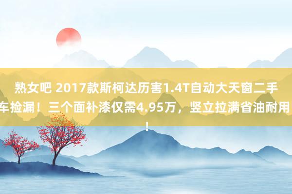 熟女吧 2017款斯柯达历害1.4T自动大天窗二手车捡漏！三个面补漆仅需4.95万，竖立拉满省油耐用！