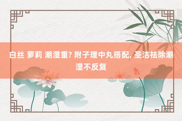白丝 萝莉 潮湿重? 附子理中丸搭配, 圣洁祛除潮湿不反复