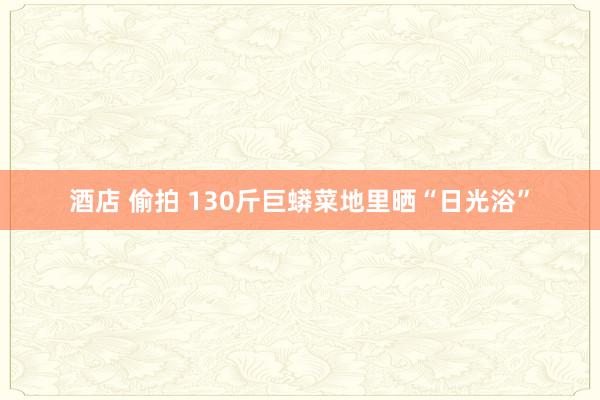 酒店 偷拍 130斤巨蟒菜地里晒“日光浴”