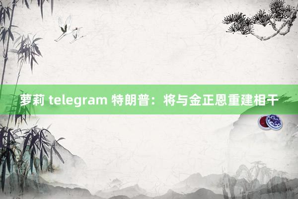 萝莉 telegram 特朗普：将与金正恩重建相干