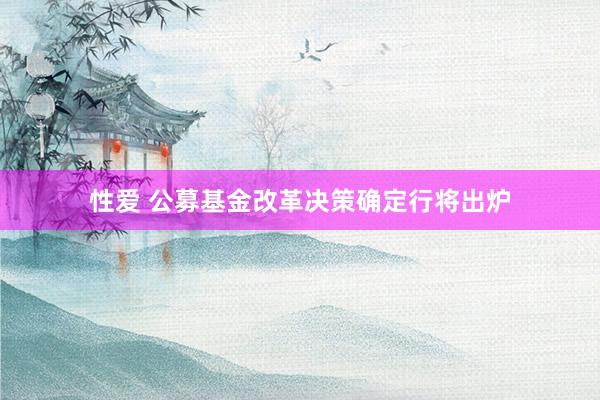 性爱 公募基金改革决策确定行将出炉