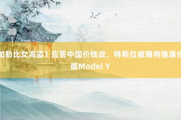 加勒比女海盗1 应答中国价钱战，特斯拉被曝将推廉价版Model Y
