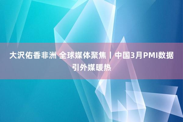 大沢佑香非洲 全球媒体聚焦丨中国3月PMI数据引外媒暖热