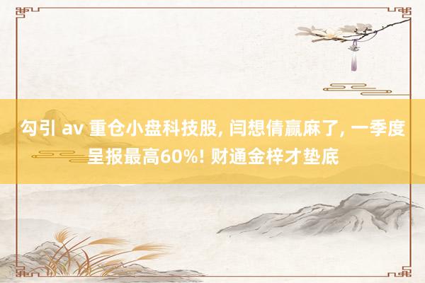 勾引 av 重仓小盘科技股, 闫想倩赢麻了, 一季度呈报最高60%! 财通金梓才垫底