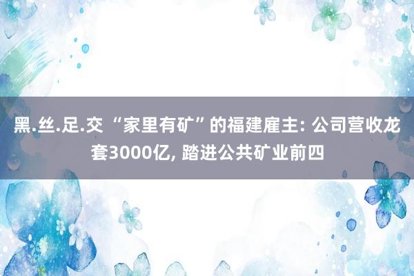 黑.丝.足.交 “家里有矿”的福建雇主: 公司营收龙套3000亿, 踏进公共矿业前四