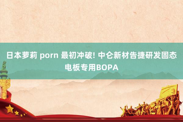 日本萝莉 porn 最初冲破! 中仑新材告捷研发固态电板专用BOPA