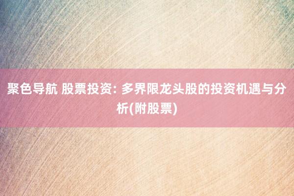 聚色导航 股票投资: 多界限龙头股的投资机遇与分析(附股票)