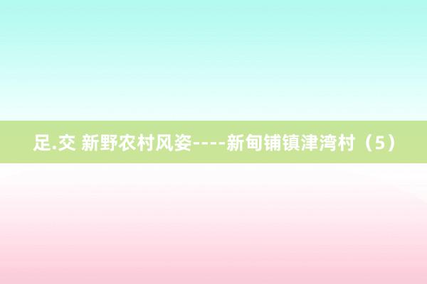 足.交 新野农村风姿----新甸铺镇津湾村（5）