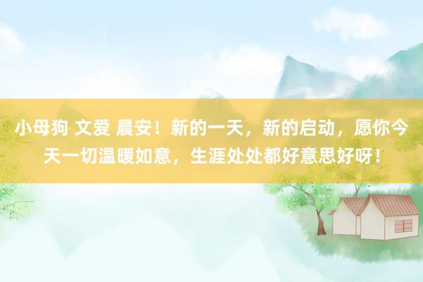 小母狗 文爱 晨安！新的一天，新的启动，愿你今天一切温暖如意，生涯处处都好意思好呀！