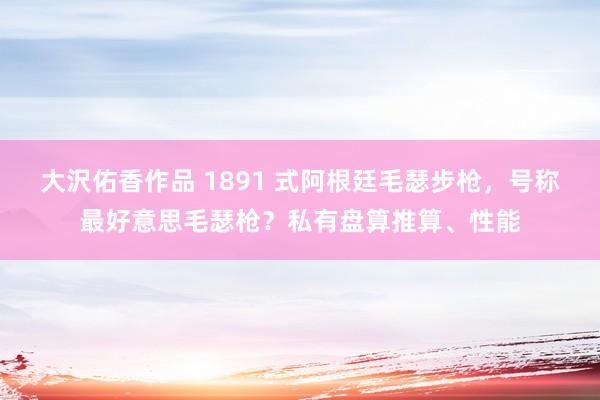 大沢佑香作品 1891 式阿根廷毛瑟步枪，号称最好意思毛瑟枪？私有盘算推算、性能