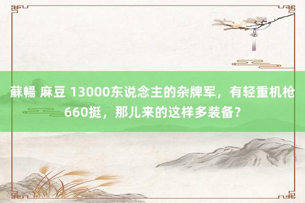 蘇暢 麻豆 13000东说念主的杂牌军，有轻重机枪660挺，那儿来的这样多装备？