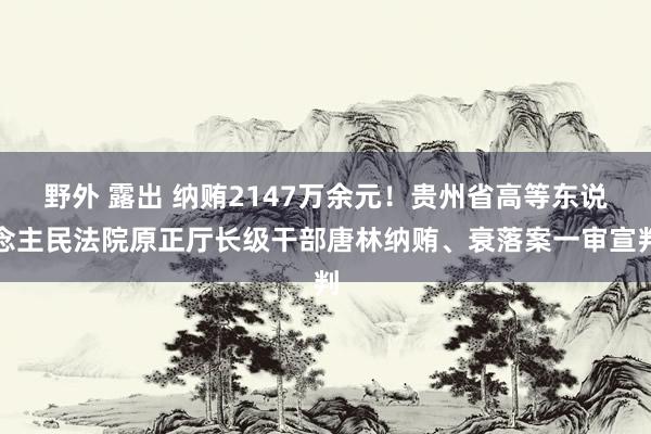野外 露出 纳贿2147万余元！贵州省高等东说念主民法院原正厅长级干部唐林纳贿、衰落案一审宣判